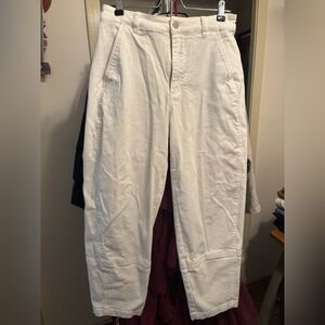 Everlane THE UTILITY BARREL PANT